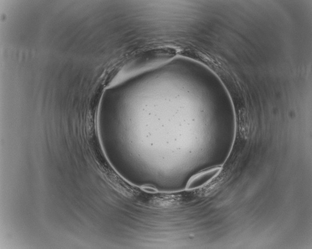 X0000064720563200602171619