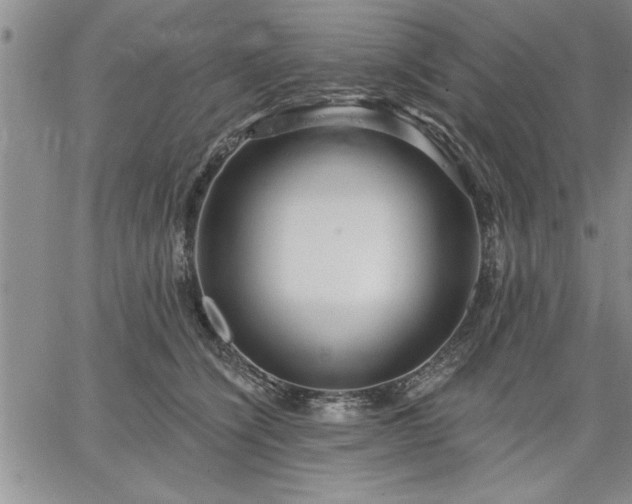 X0000064720564200602171619