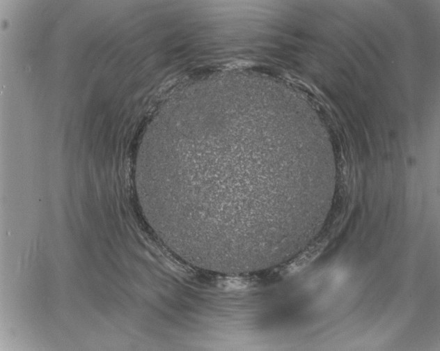 X0000064720565200602171619