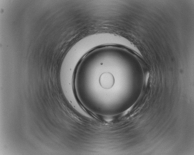 X0000064720566200602171619