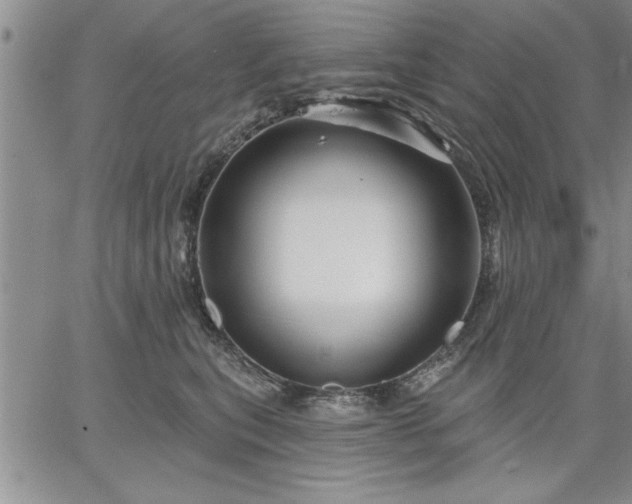 X0000064720567200602171619