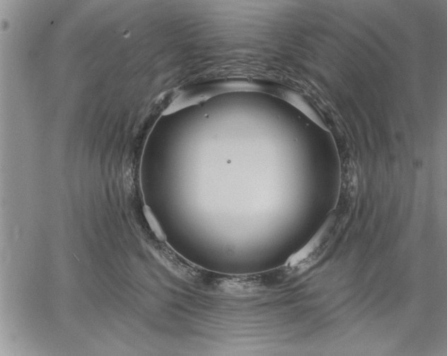 X0000064720568200602171619