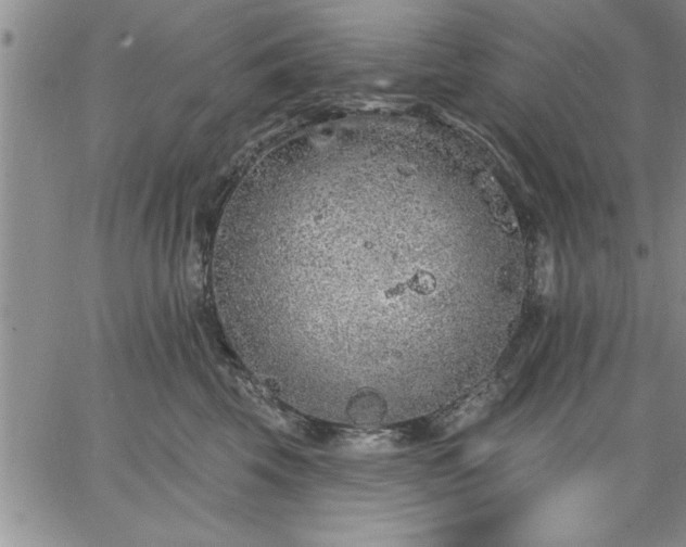 X0000064720569200602171619