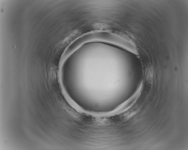 X0000064720570200602171619