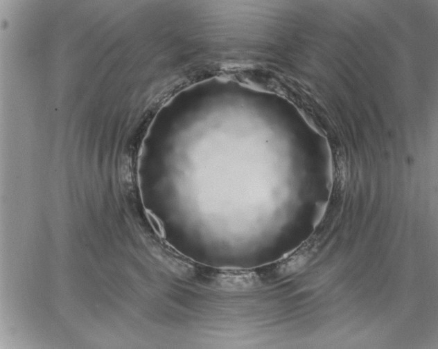 X0000064720571200602171619