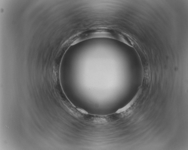 X0000064720572200602171619