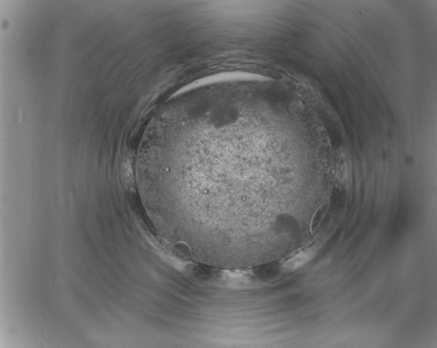 X0000064720573200602171619