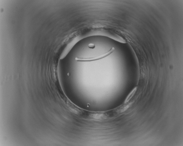 X0000064720575200602171619