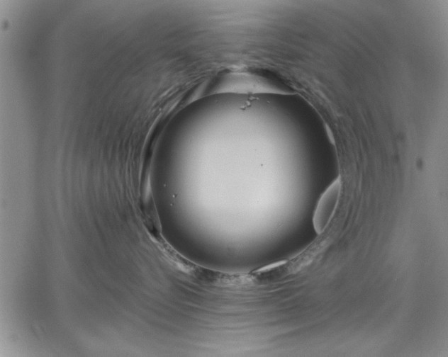 X0000064720576200602171619