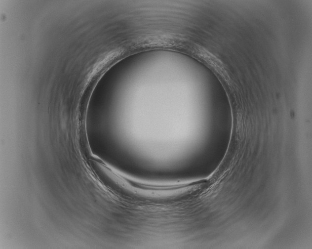 X0000064720578200602171618