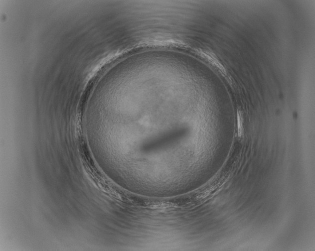 X0000064720579200602171618