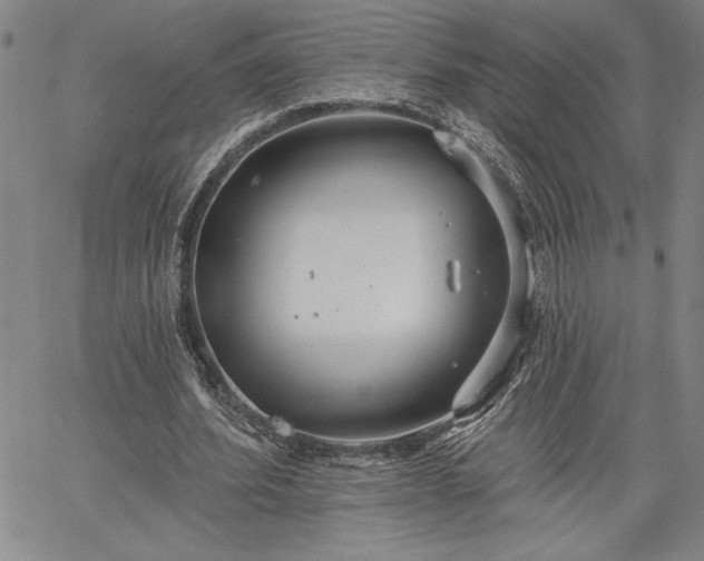 X0000064720580200602171618