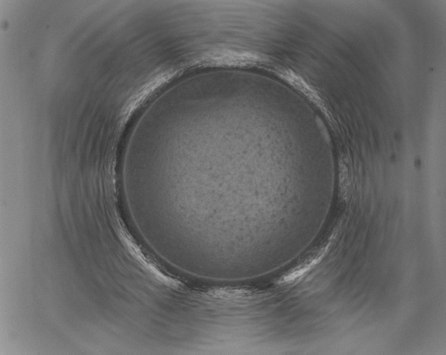 X0000064720581200602171618