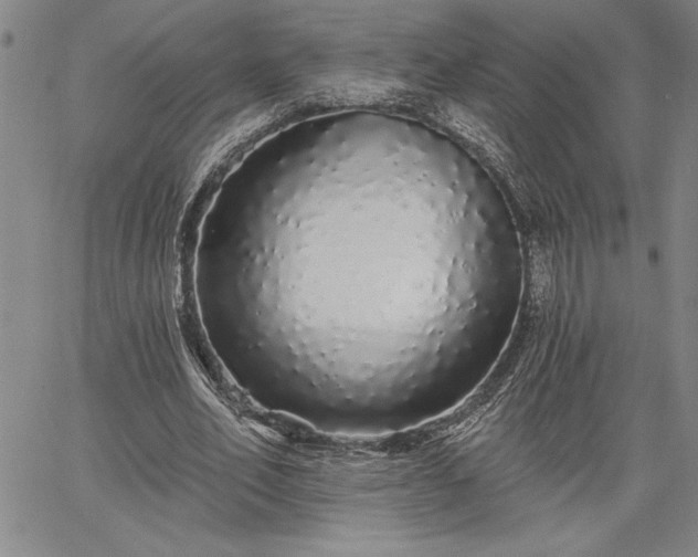 X0000064720582200602171618