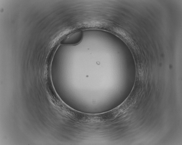 X0000064720583200602171618