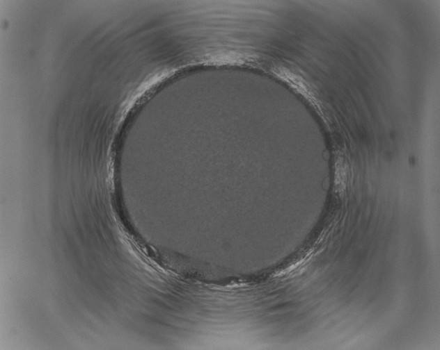 X0000064720584200602171618