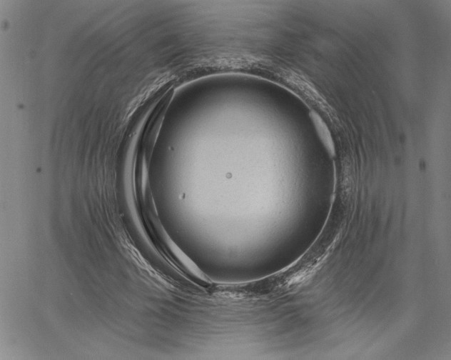 X0000064720585200602171618