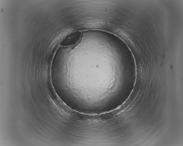 X0000064720586200602171618