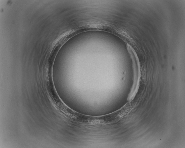 X0000064720587200602171618