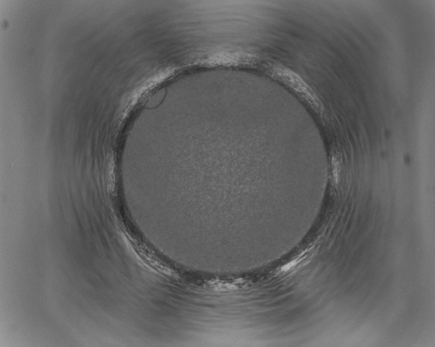 X0000064720588200602171618