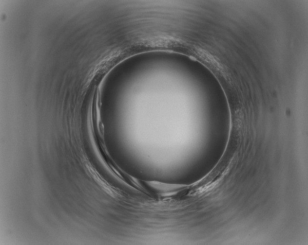 X0000064720589200602171618