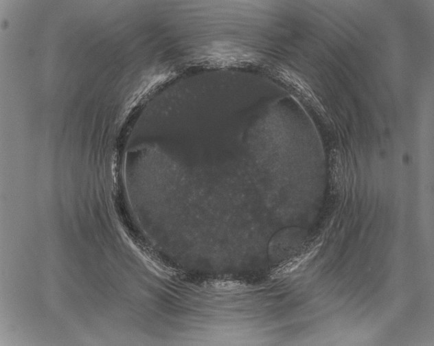 X0000064720590200602171618