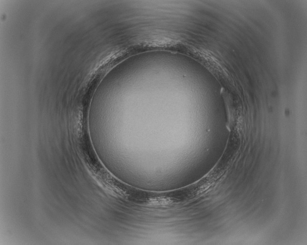 X0000064720591200602171618