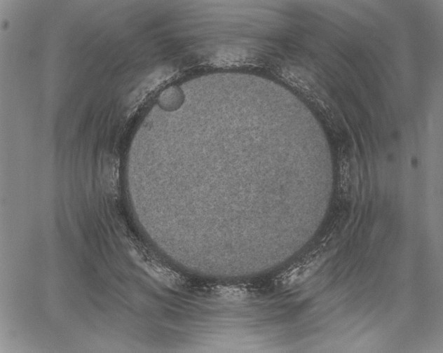 X0000064720592200602171618