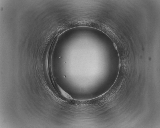 X0000064720593200602171618