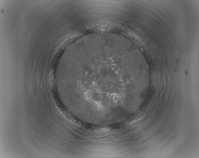 X0000064720594200602171618