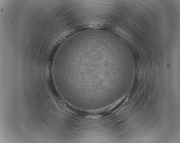 X0000064720595200602171618