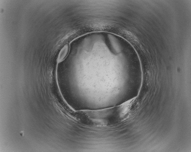 X0000064720596200602171618