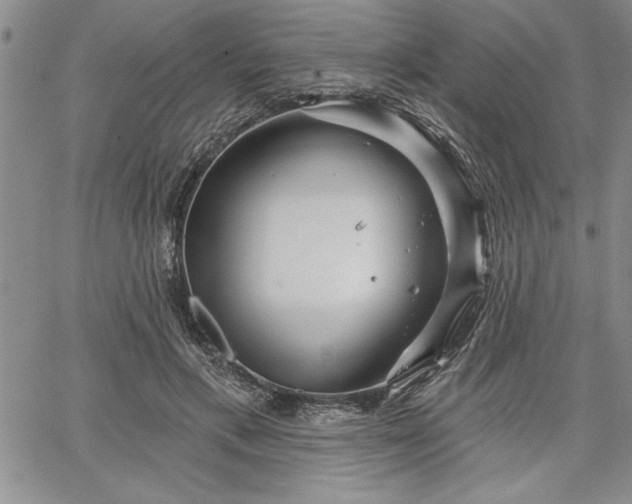 X0000064720597200602171618