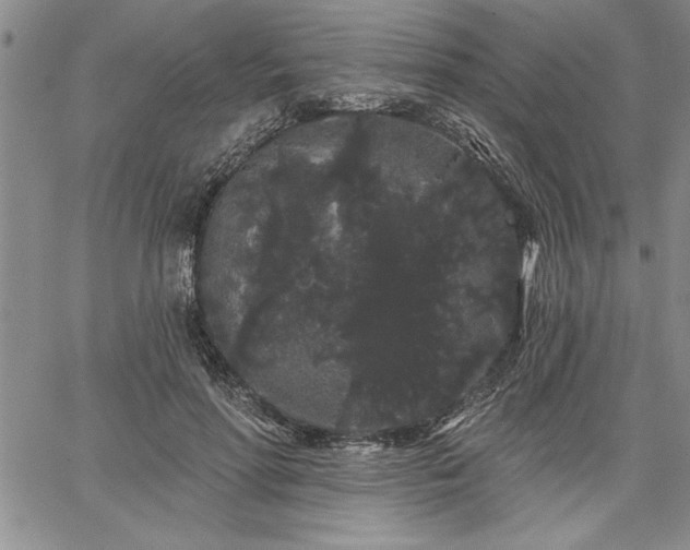 X0000064720598200602171618