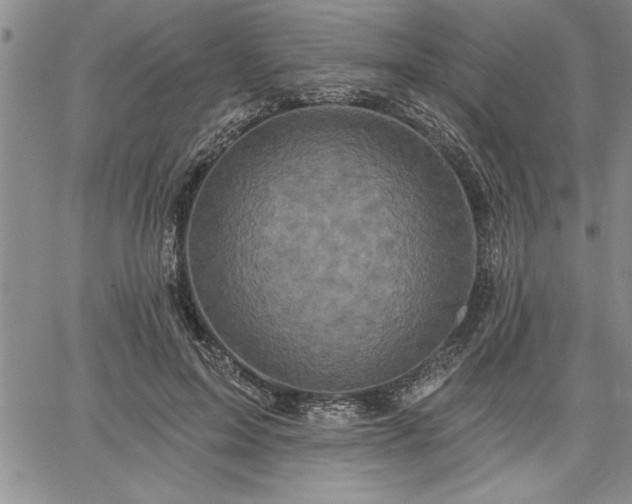 X0000064720599200602171618