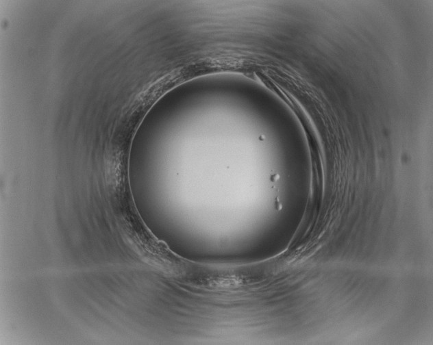 X0000064720600200602171618