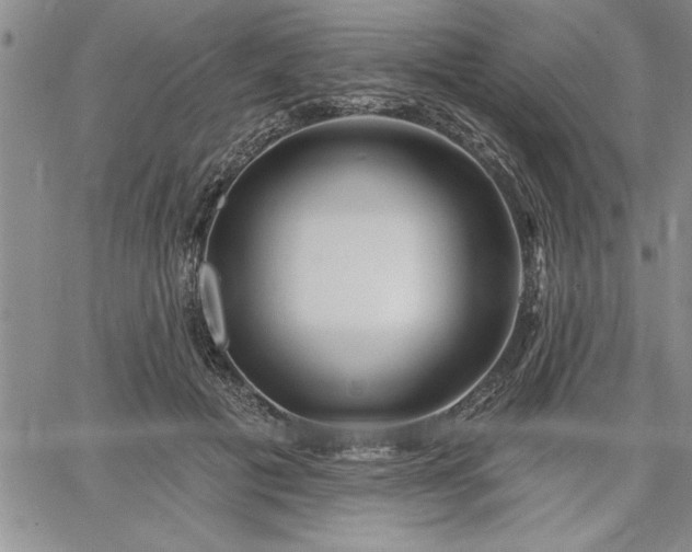 X0000064720601200602171618