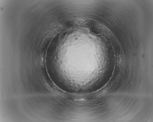 X0000064720602200602171618