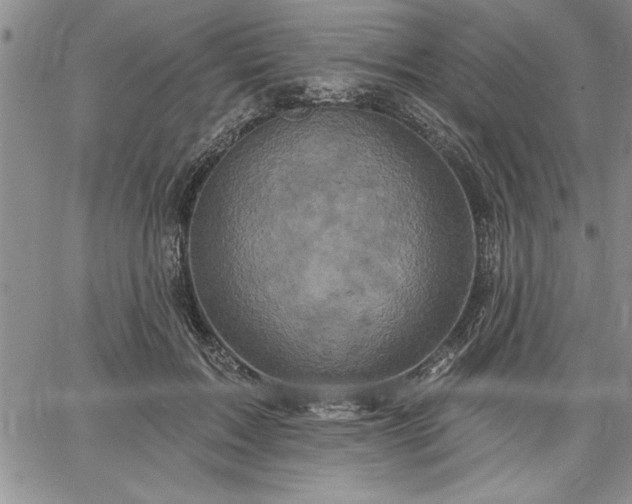 X0000064720603200602171618