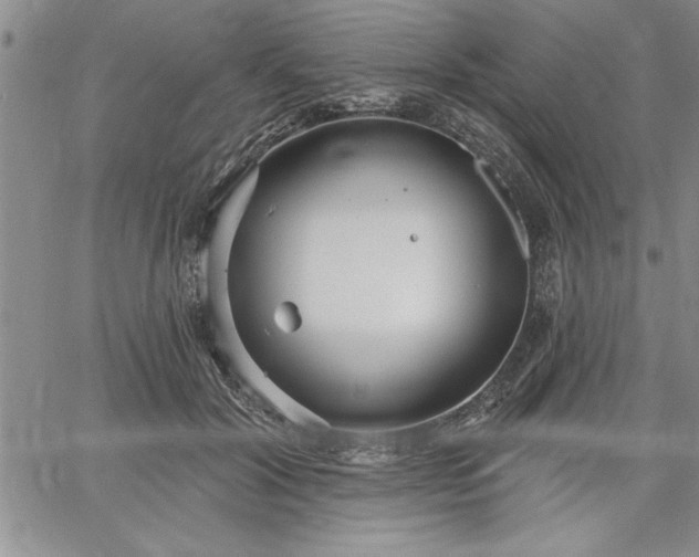 X0000064720604200602171618