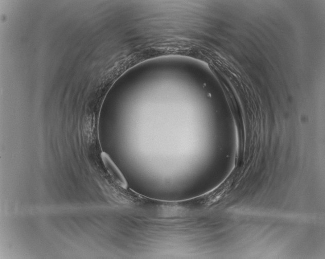 X0000064720605200602171618