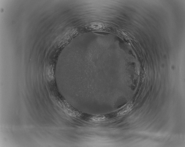 X0000064720606200602171618