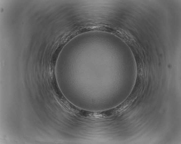 X0000064720607200602171618