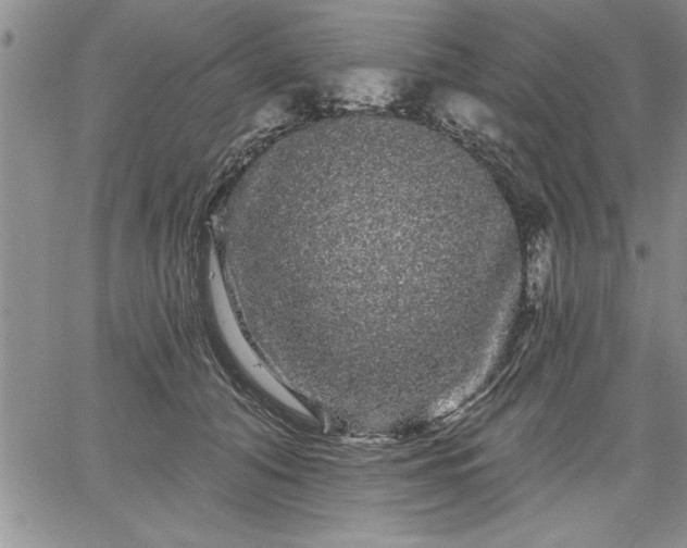 X0000064720608200602171618