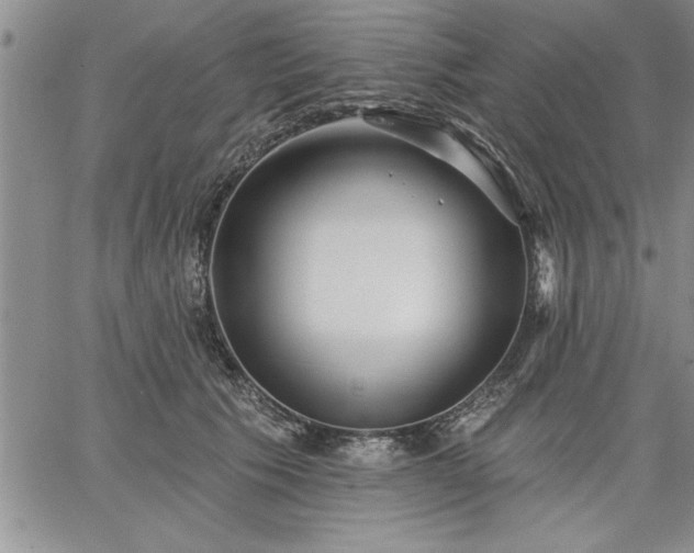 X0000064720609200602171618