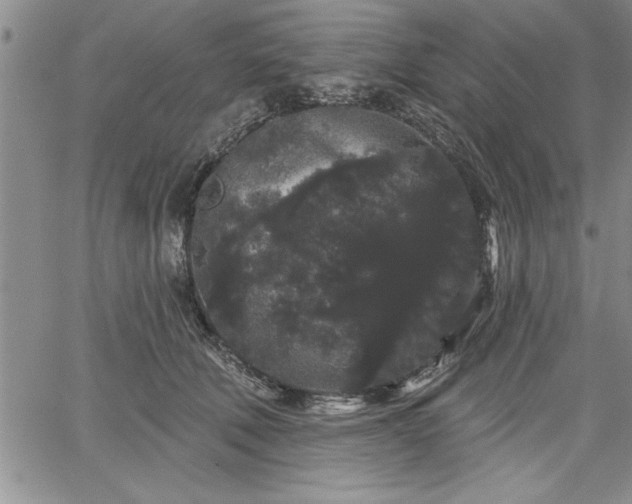 X0000064720610200602171618