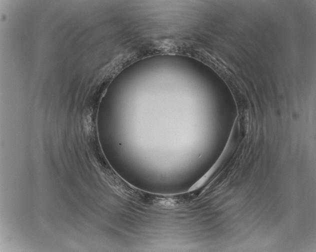 X0000064720611200602171618