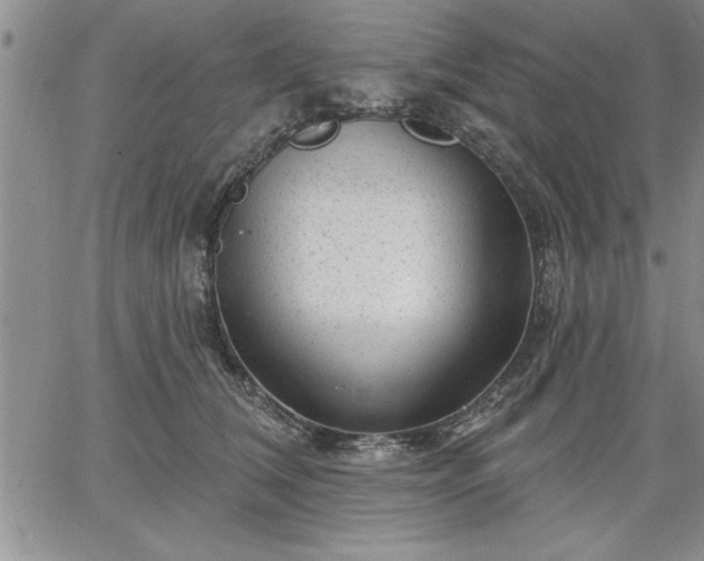 X0000064720612200602171618