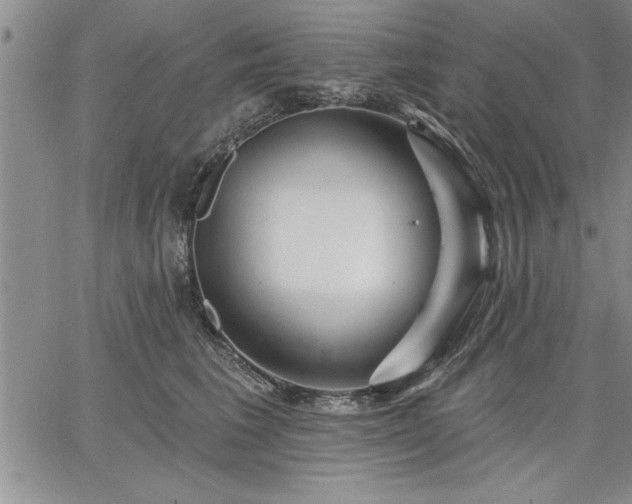 X0000064720613200602171618