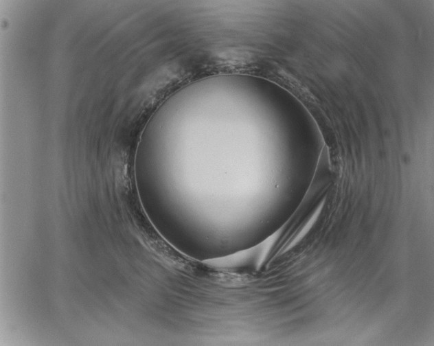 X0000064720615200602171618